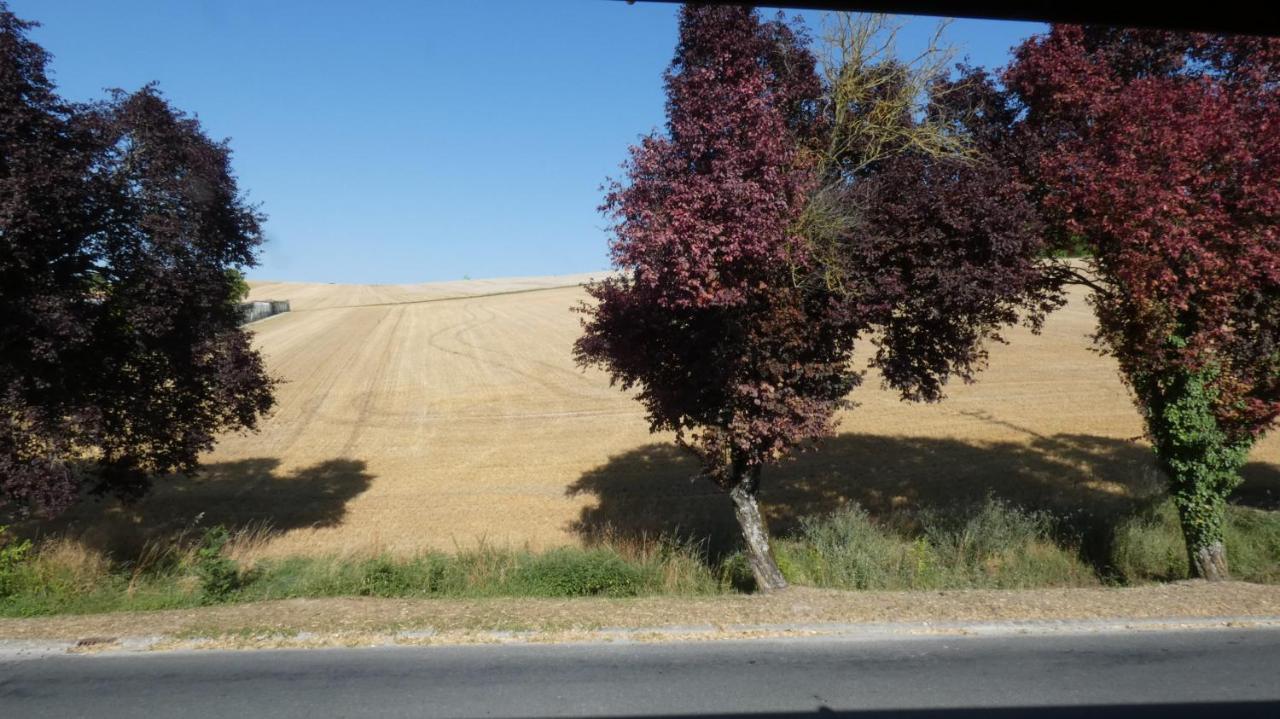 Chatrou Chatelraould-Saint-Louvent Buitenkant foto